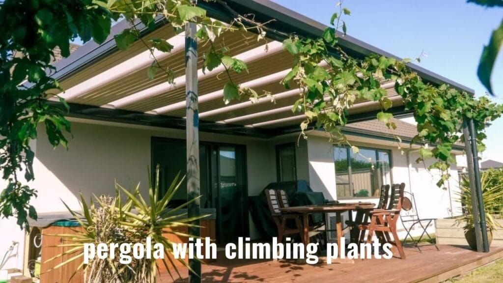 pergola with climbing plants - grandseabuilding.com pergola with climbing plants