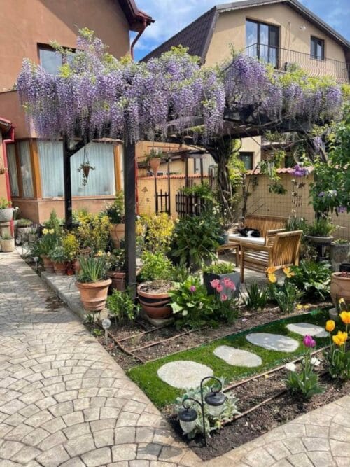 a lush pergola covered in blooming wisteria - grandseabuilding.com