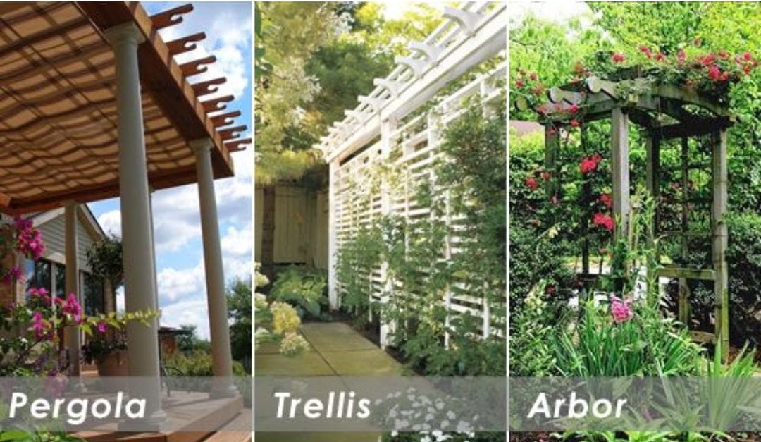 pergola trellis and arbor - grandseabuilding.com